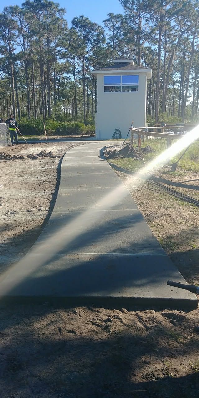 Long concrete walkway through pine trees
